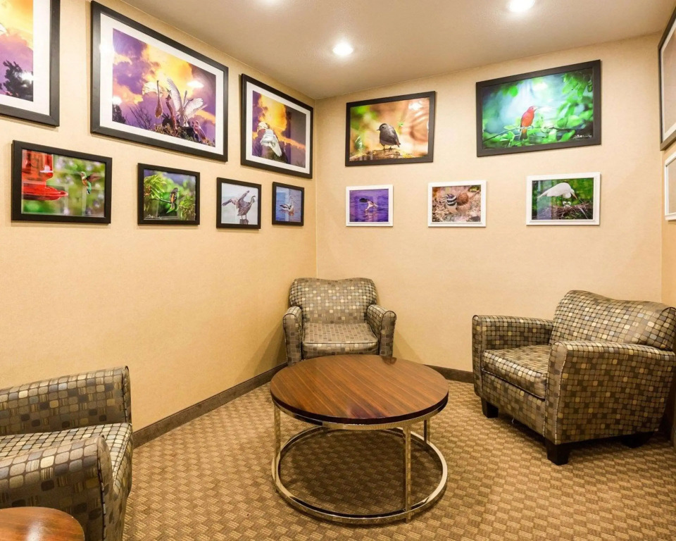 Comfort Inn & Suites Winnie