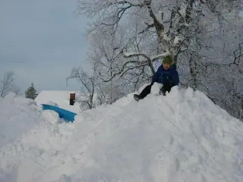 Saariselän Marjamajat