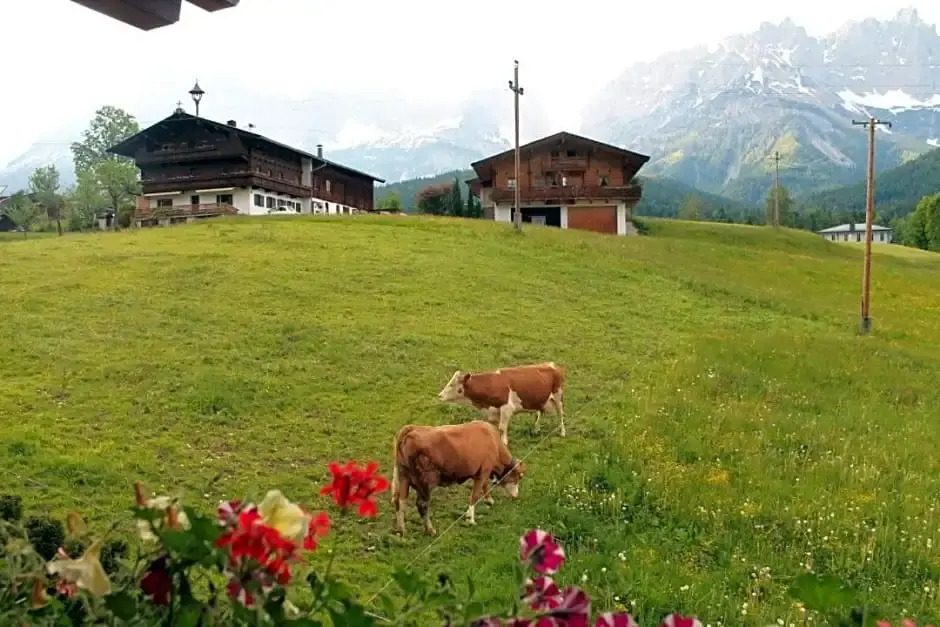 Pension Sunnberg