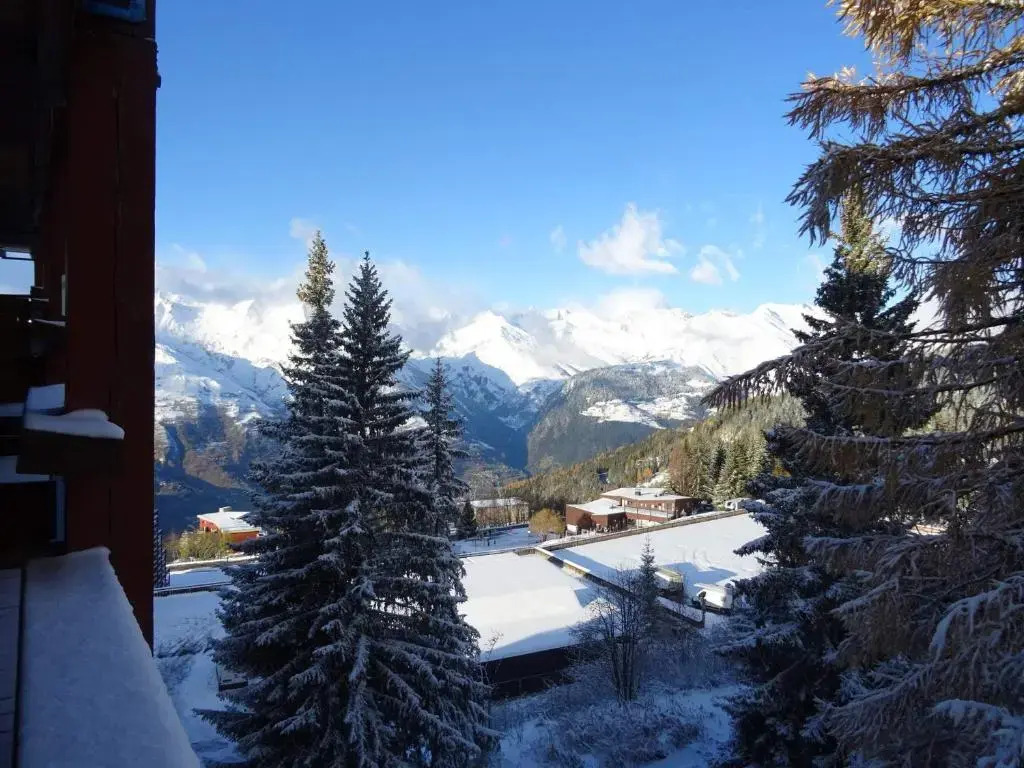 Appartement Les Arcs 1800, 1 pièce, 4 personnes - FR-1-411-426