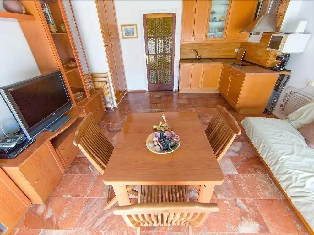 Palmeras 5.2