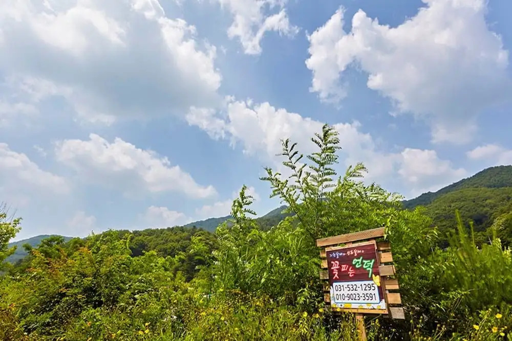 Pocheon Blooming Hill Pension