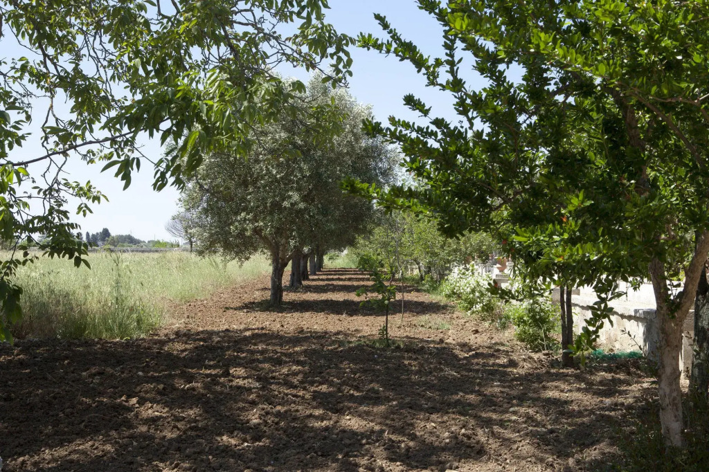 Villa Urso BedWine