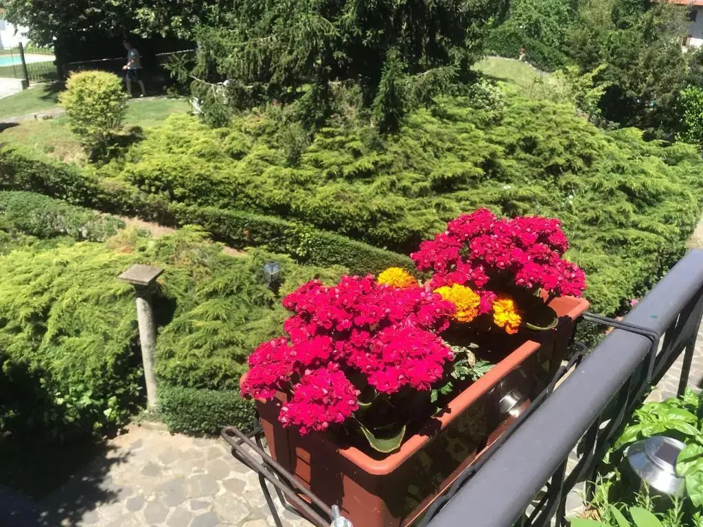 Villa Le Vignole