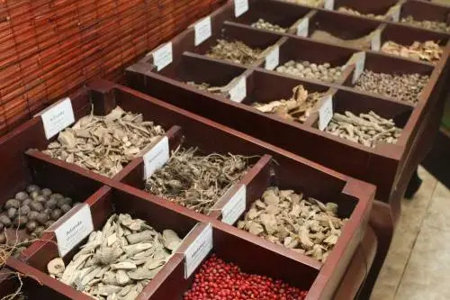 Life Ayurveda Resort