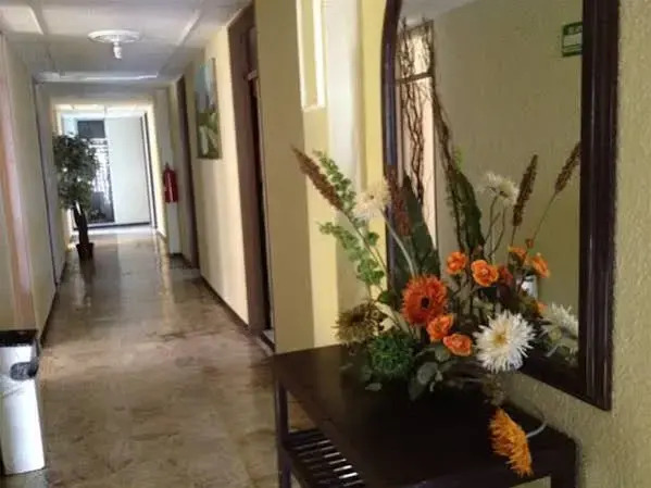 Hotel Gomez
