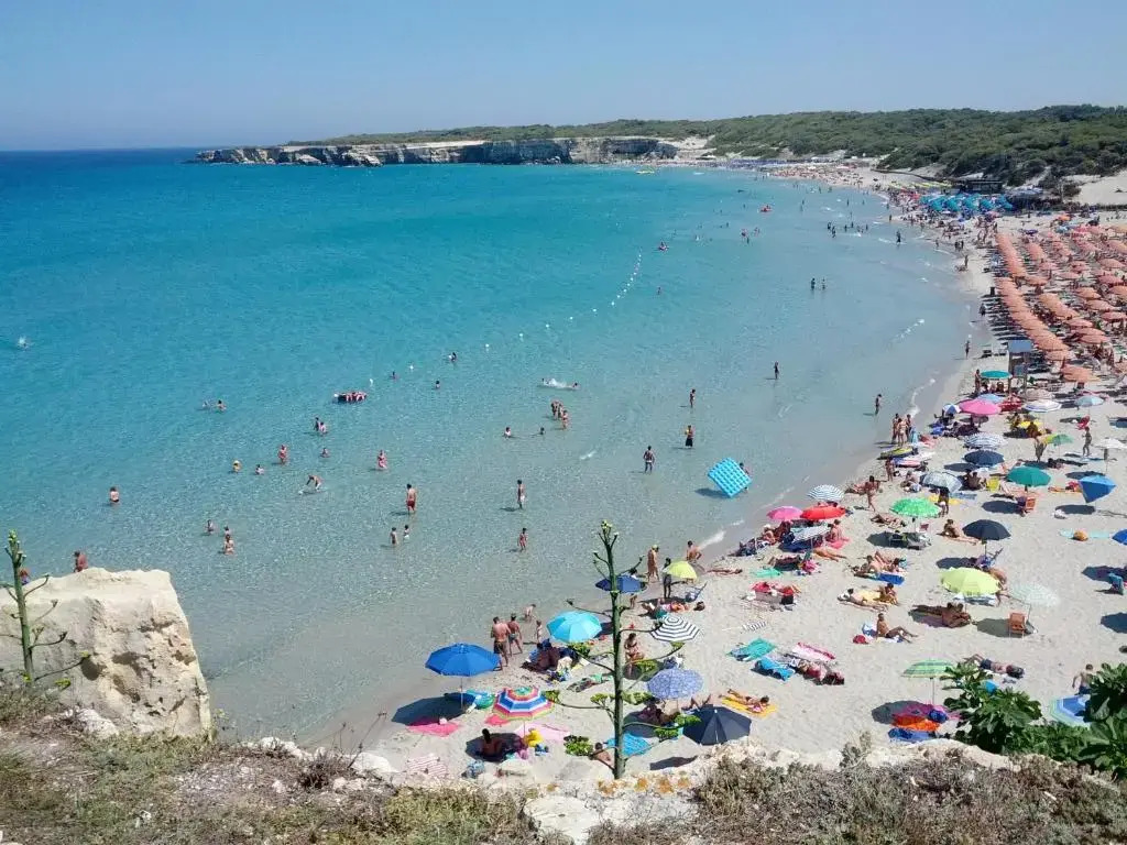 Villa Andrea by RENTHOUSESALENTO