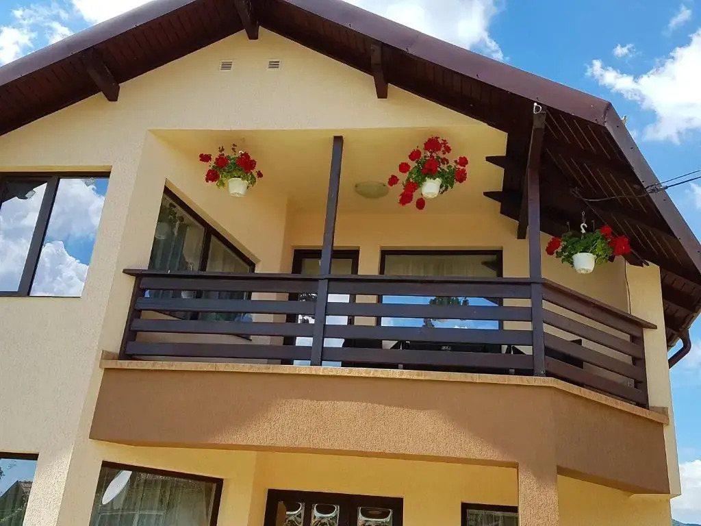 Casa David Comarnic