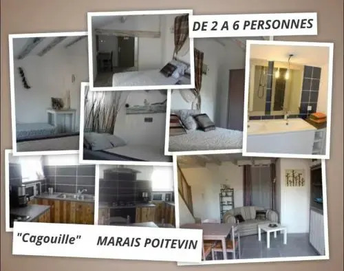 Cagouille