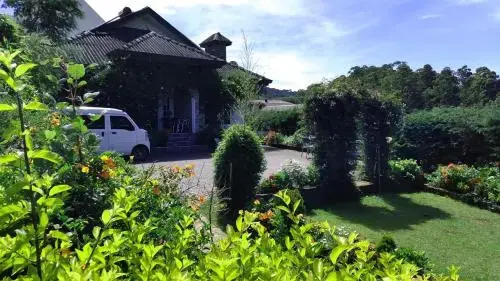 Royal Terrace Holiday Bungalow