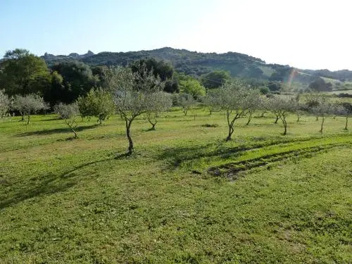 Sole e Terra