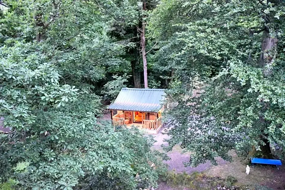The Miners Log Cabin