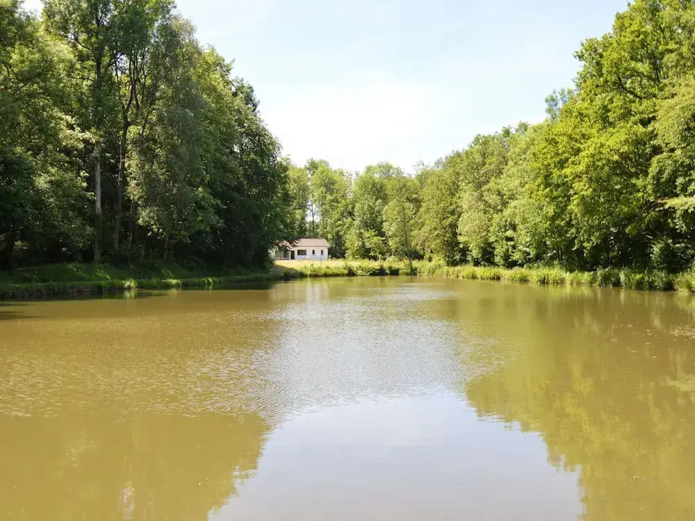 Nature Retreat by the Lakes