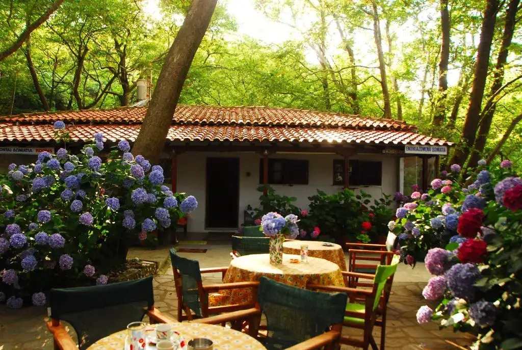 Tasoula Parselia Studios