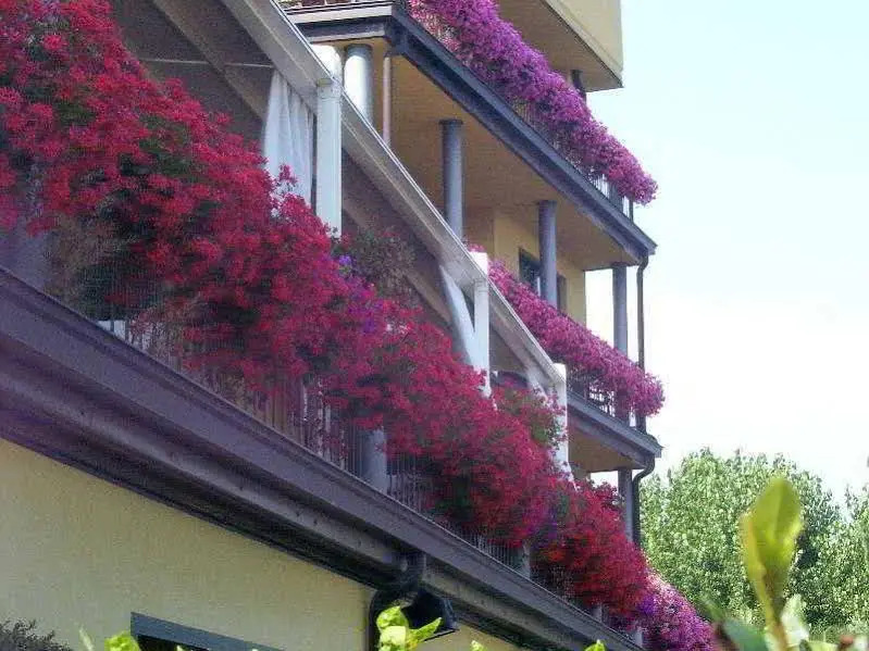 Riva Del Sole