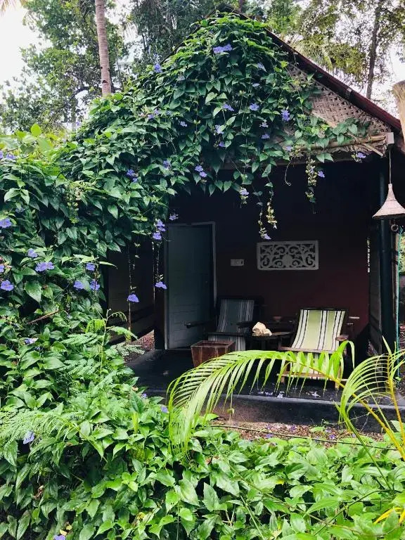 The cliff cottage varkala