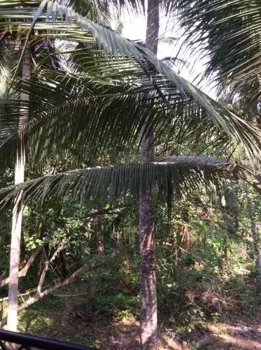 Reuben Villa