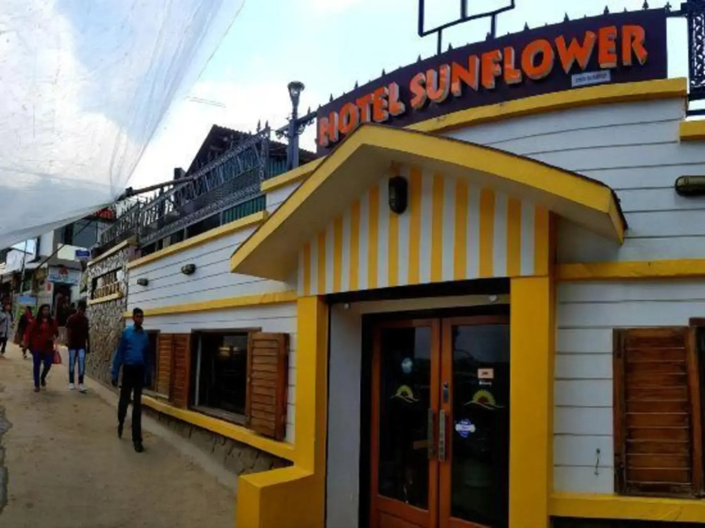 Sunflower