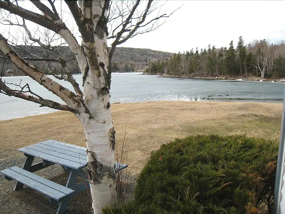 The Cove
