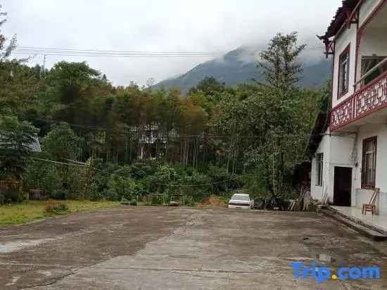 Xing'an Mao'er Mountain Bamboo Xiyuan