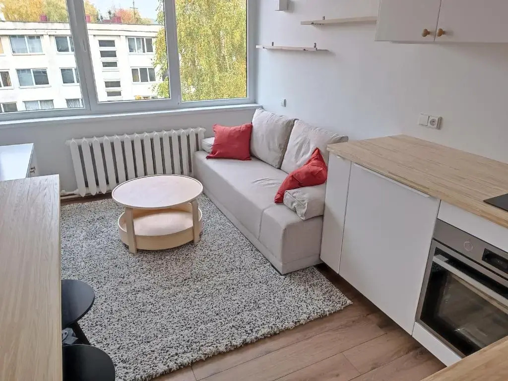 Stylish Studio in Central Vilnius