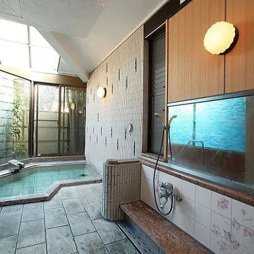 The Hakone