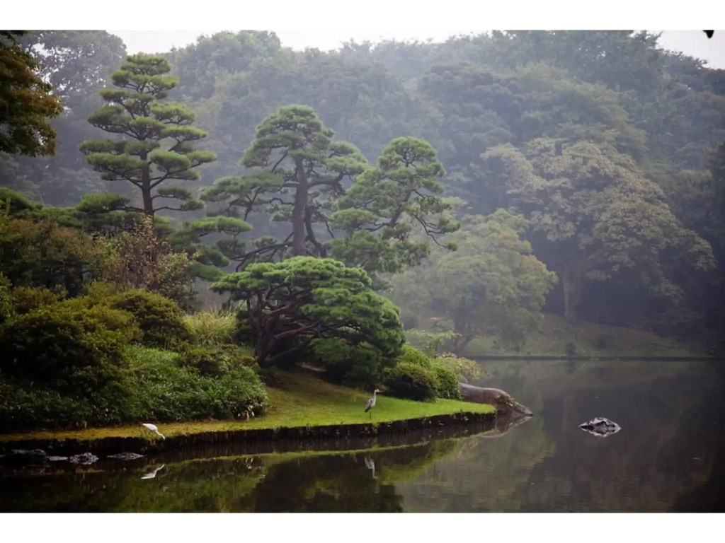 Tora Hotel Rikugien - Vacation STAY 52744v