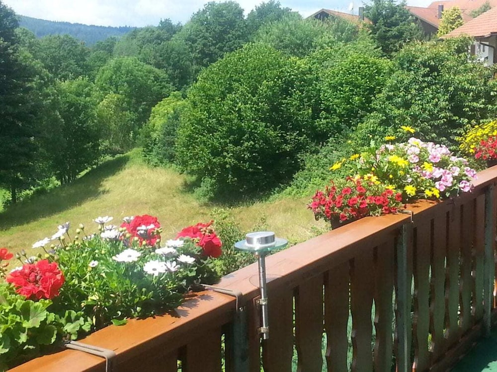 Panoramic View 4