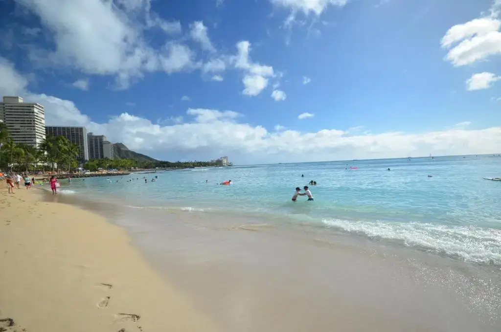 Sea Shore 41 Private Studio in Waikiki, 1 Block to Beach