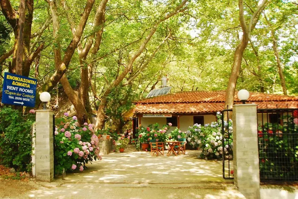 Tasoula Parselia Studios