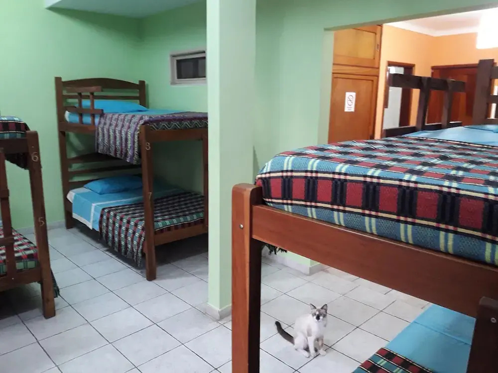 Coco Jamboo Hostel
