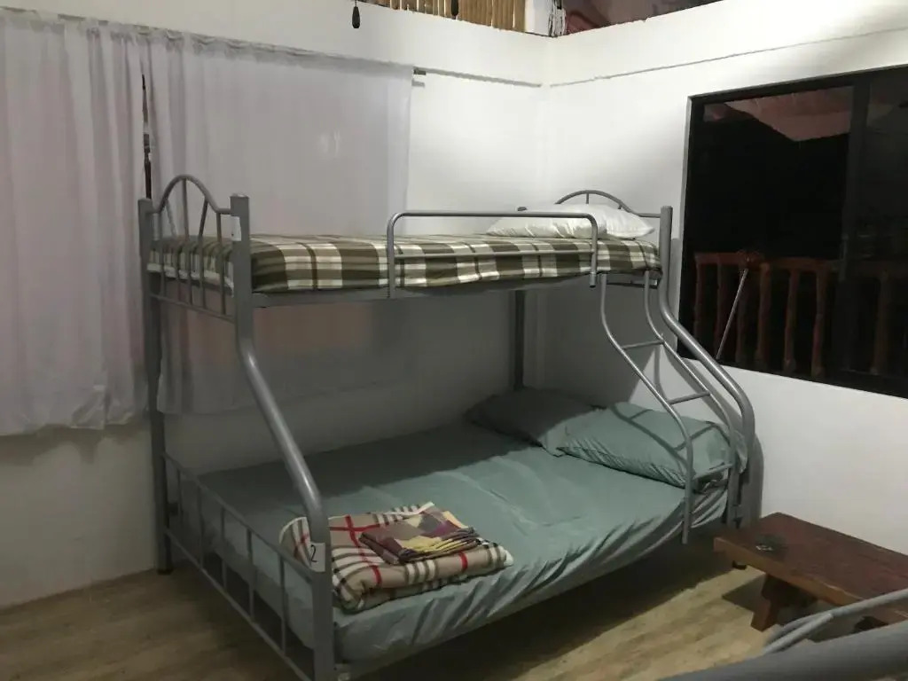 Hostel Lions