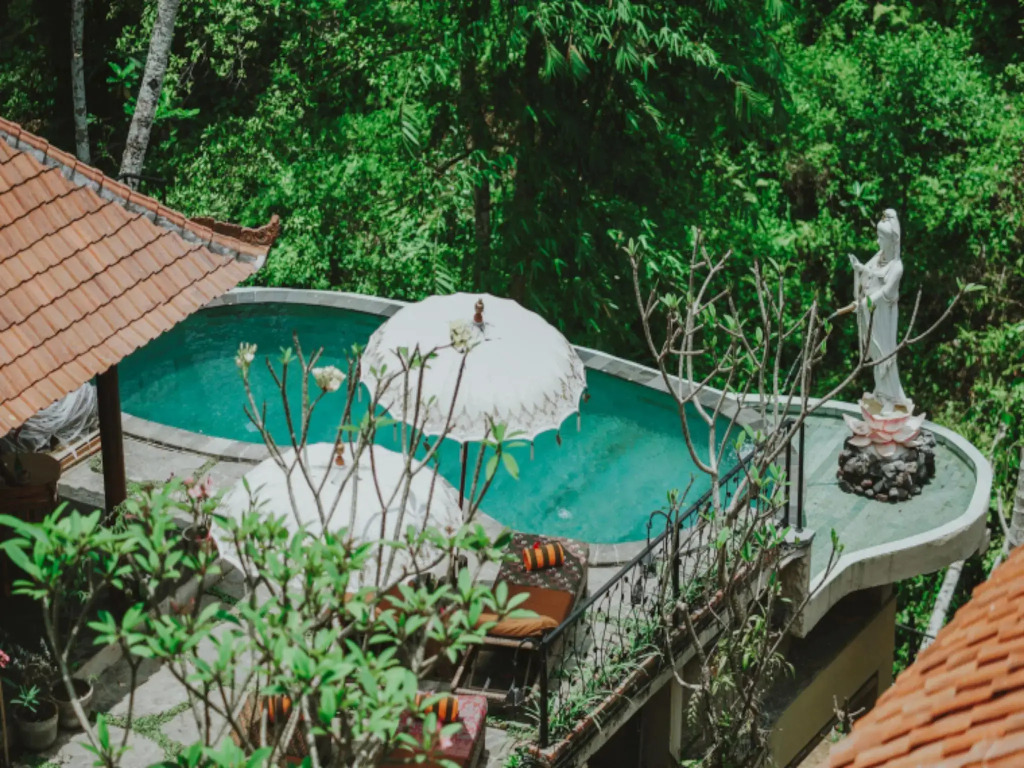 Jungle Lotus Villas