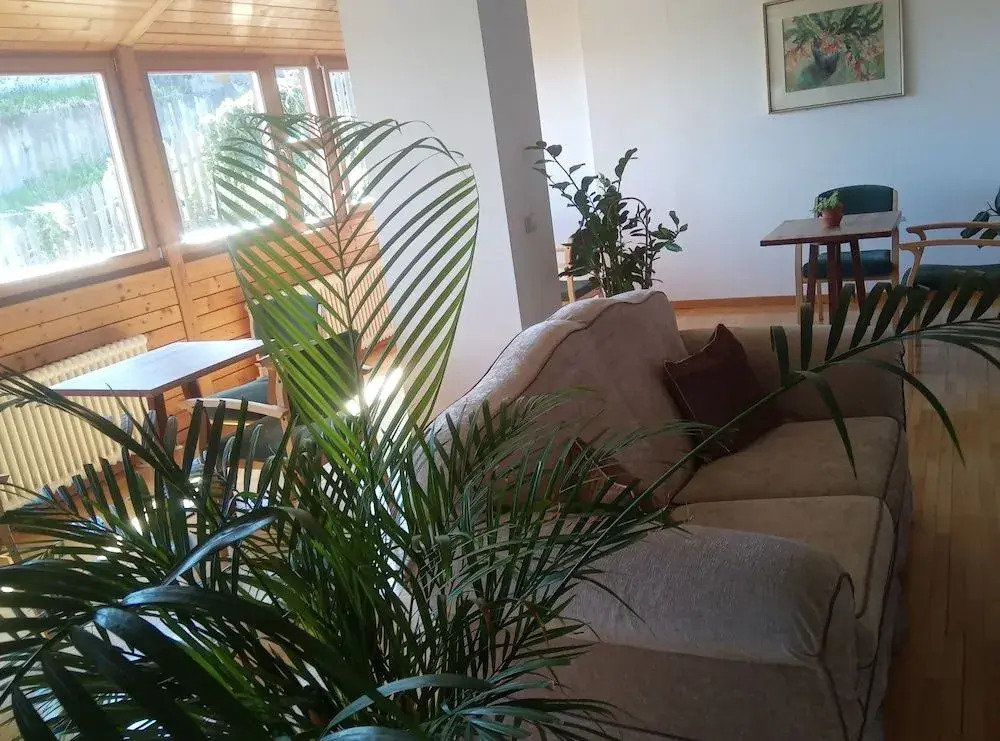 Pension Fellis