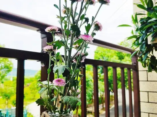 Yuyao Yijia Homestay (Yuyao Siming Lake Scenic Area)