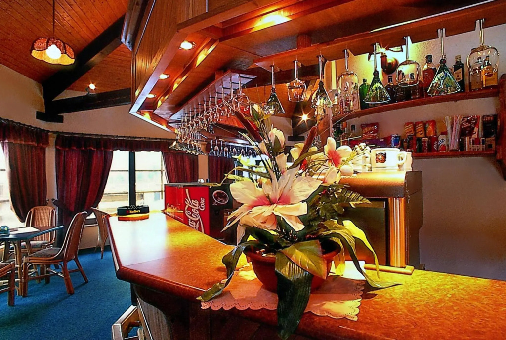 Ski & Spa Bellevue Harrachov