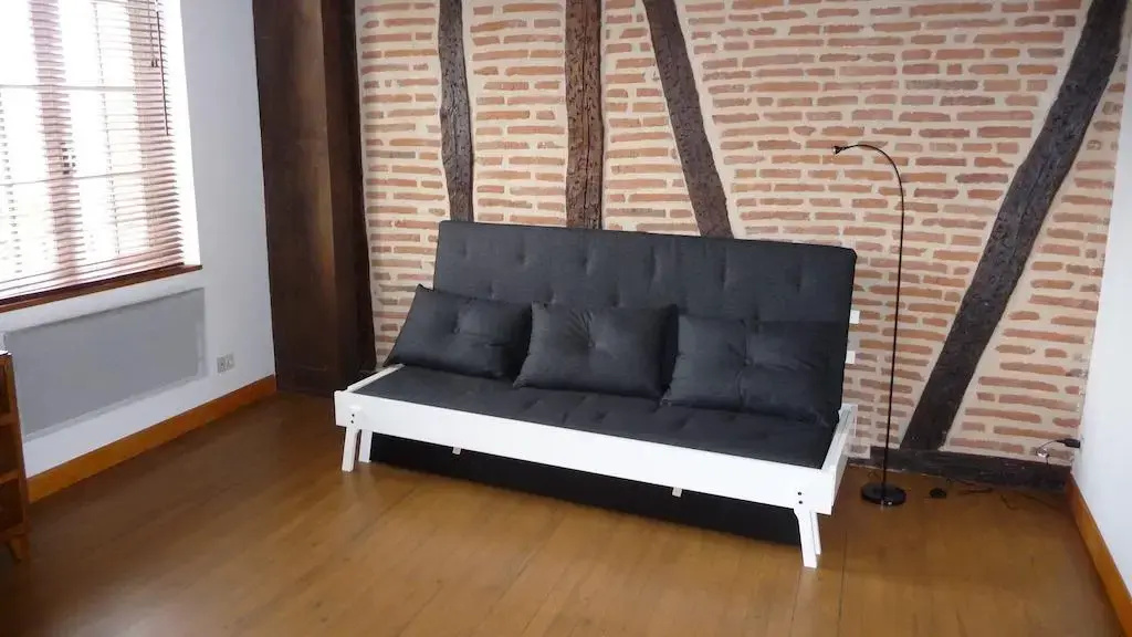 Appartement Cathédrale Quai Choiseul Albi