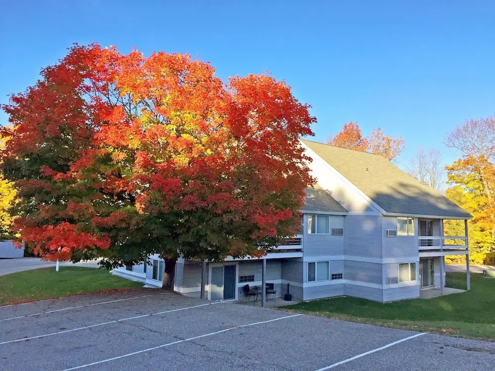 Kcis 131 - Comfy Killington Studio, Sleeps 4, Ski Shuttle
