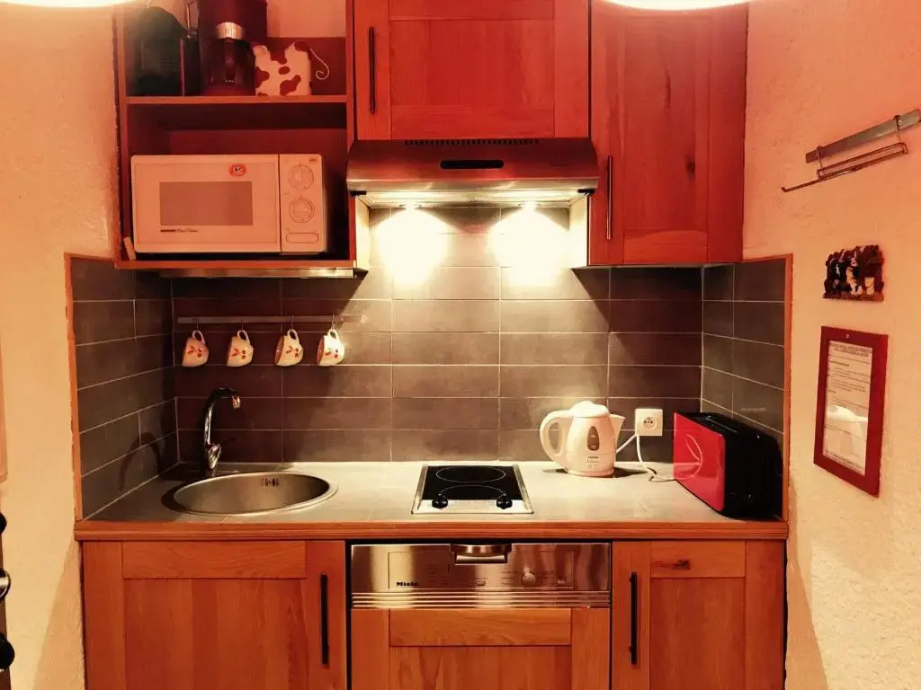Appartement Les Deux Alpes, 1 pièce, 4 personnes - FR-1-348-227