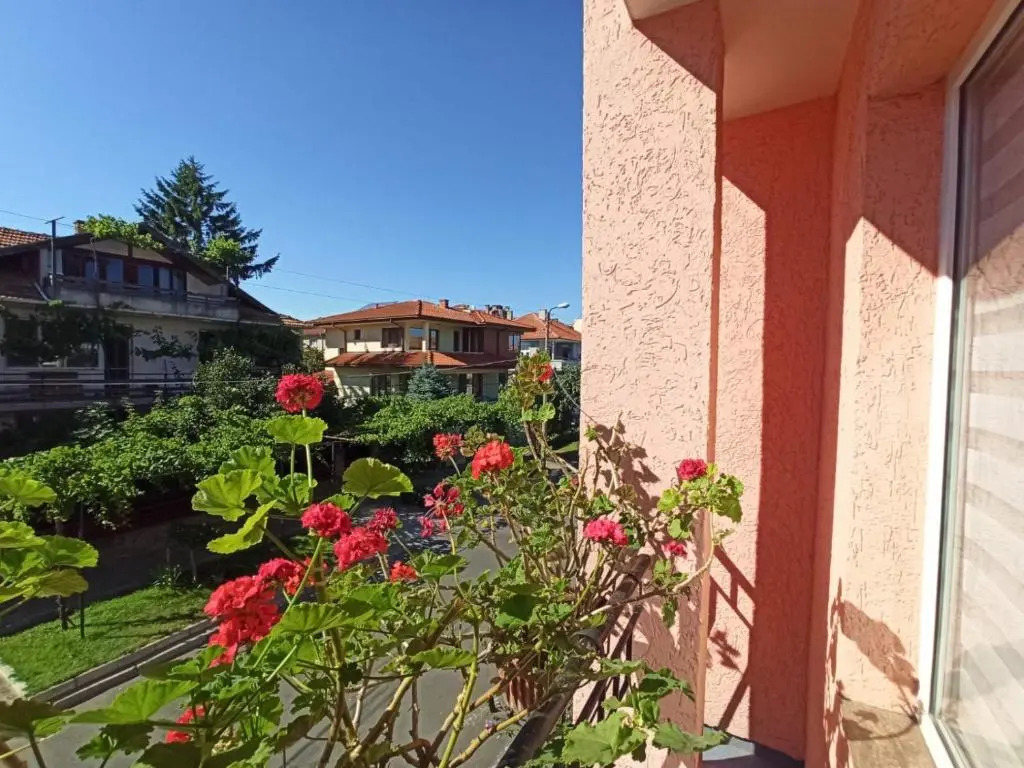 Art Villa Rozalia