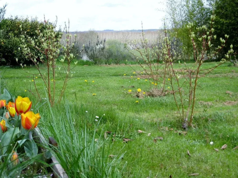 Les gîtes Bois-Cassé