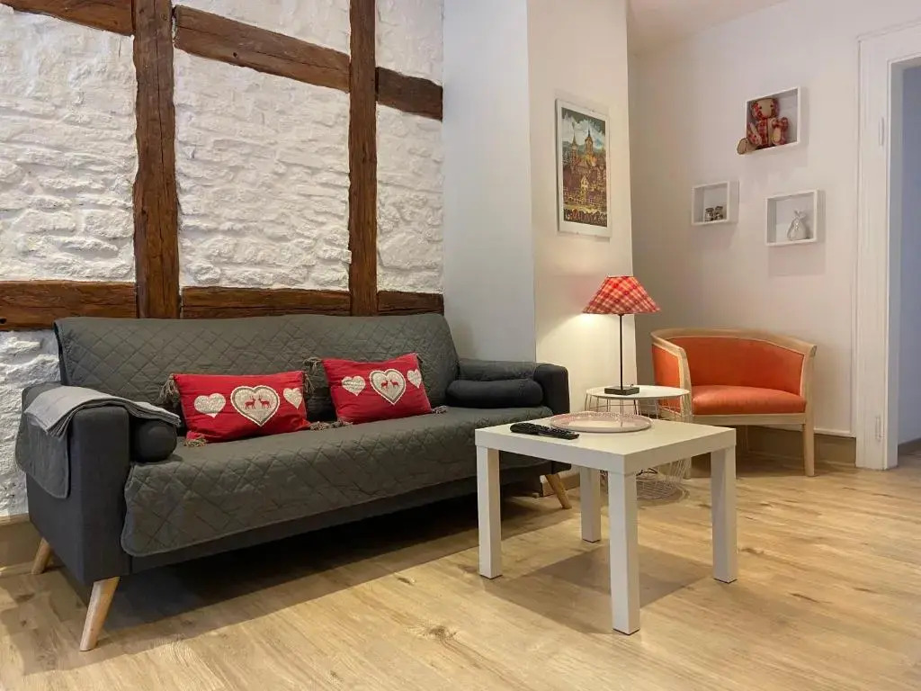 LOurs de Colmar - Appartements en centre ville