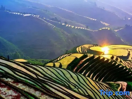 Wangyuelou Homestay (Longji Terraces Jinfoding Branch)