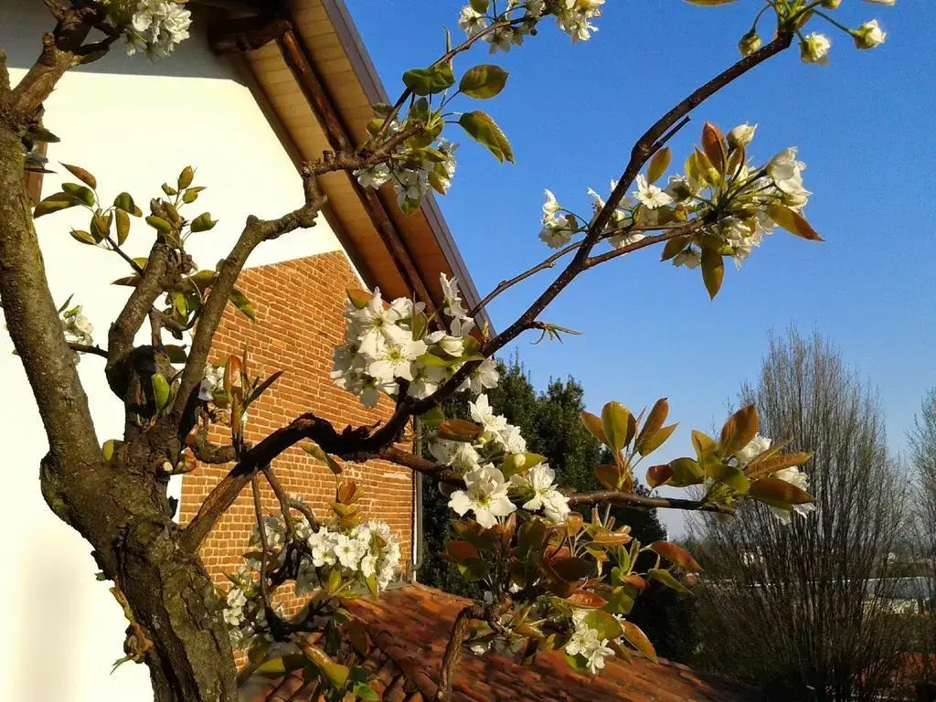 Guest house Cascina Belsito