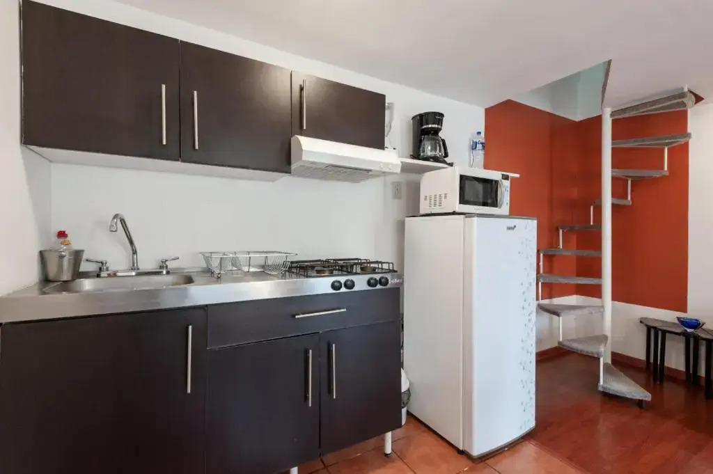 Suite 4B Bazzar, Garden House, Welcome to San Angel