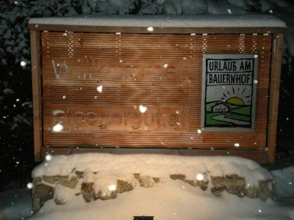 Stögergut by Schladming-Appartements
