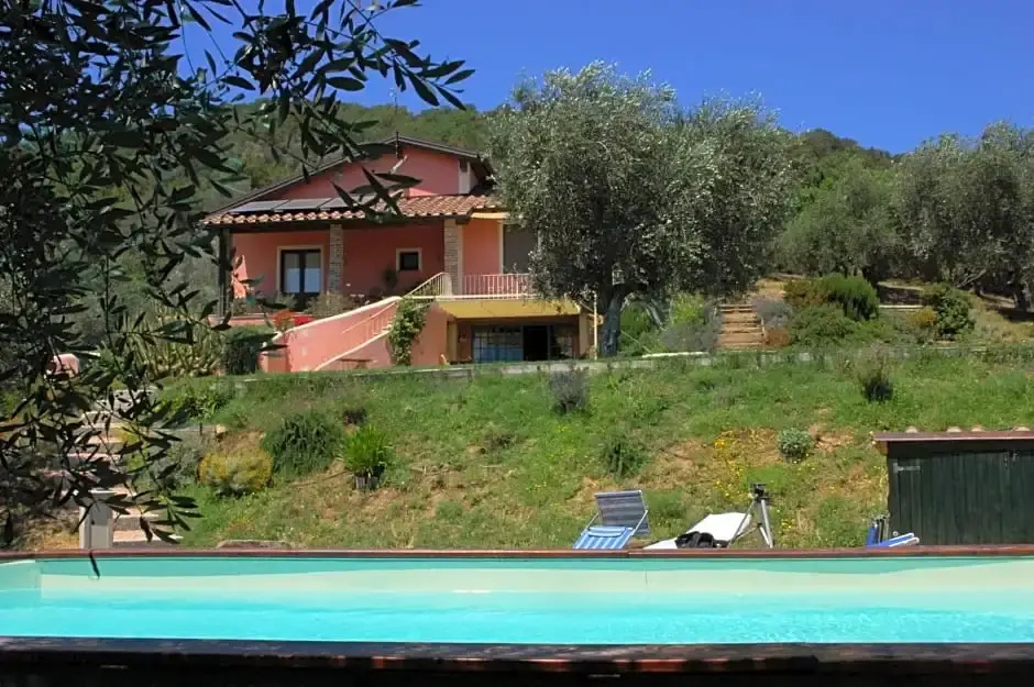 Il Pino