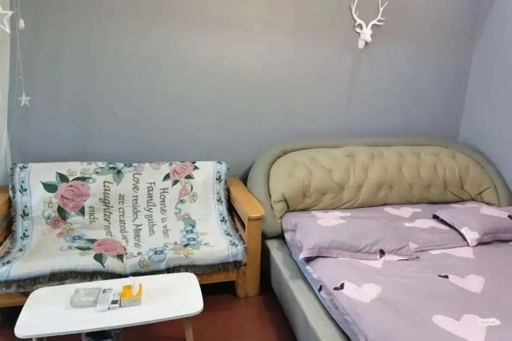 Central Apartment
