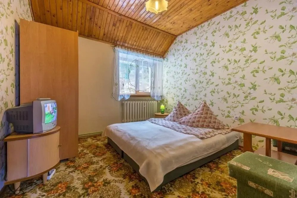 Harmont Montis (dawna Zającówka) leśna enklawa w centrum miasta