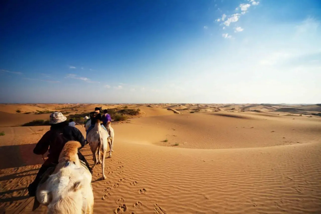 Golden Gobi Guesthouse & Tour